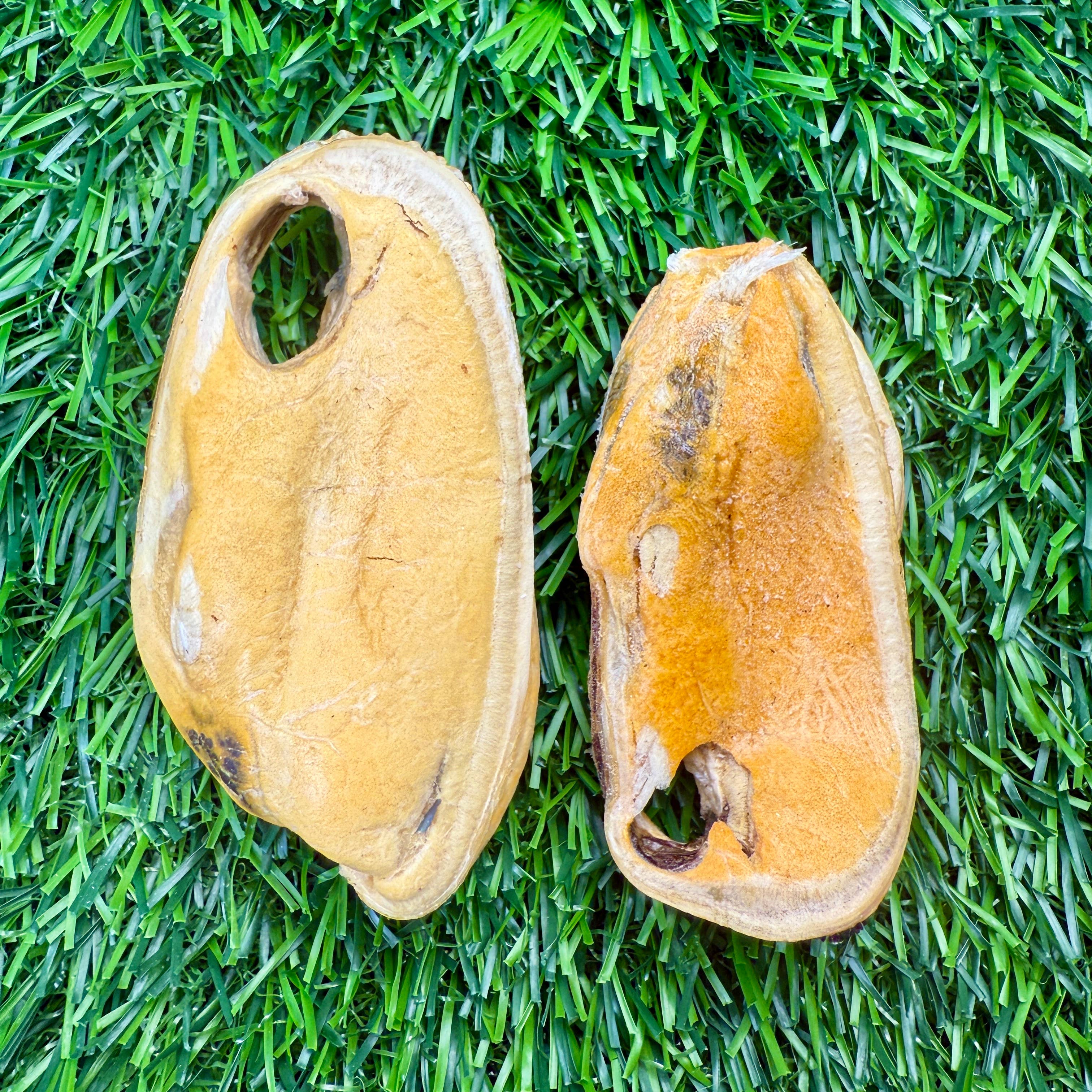 Golden Nibbles - Wholesale Pet Treats - Dog - New Zealand Green-Lipped Mussel - Freeze-Dried 2