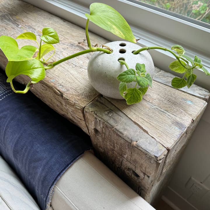 Sugarboo & Co - Vente Vases - Vase grenouille en céramique mouchetée