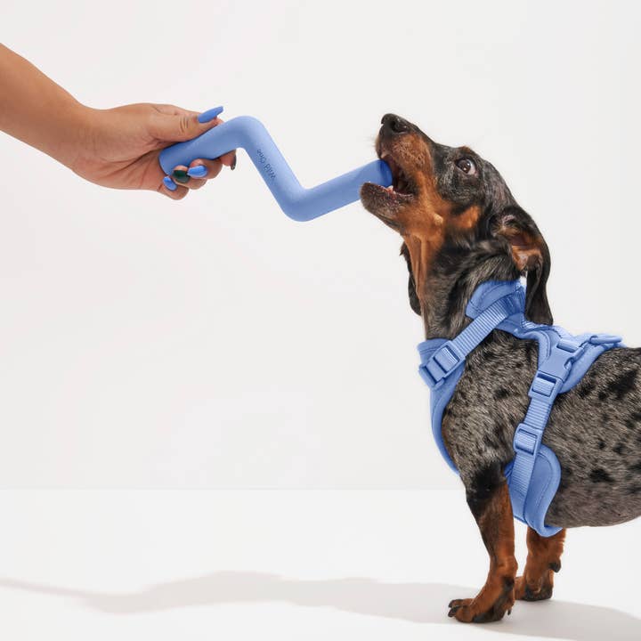 Wild One - Wholesale Pet Chew Toy - Dog - Bolt Bite Dog Chew Toy