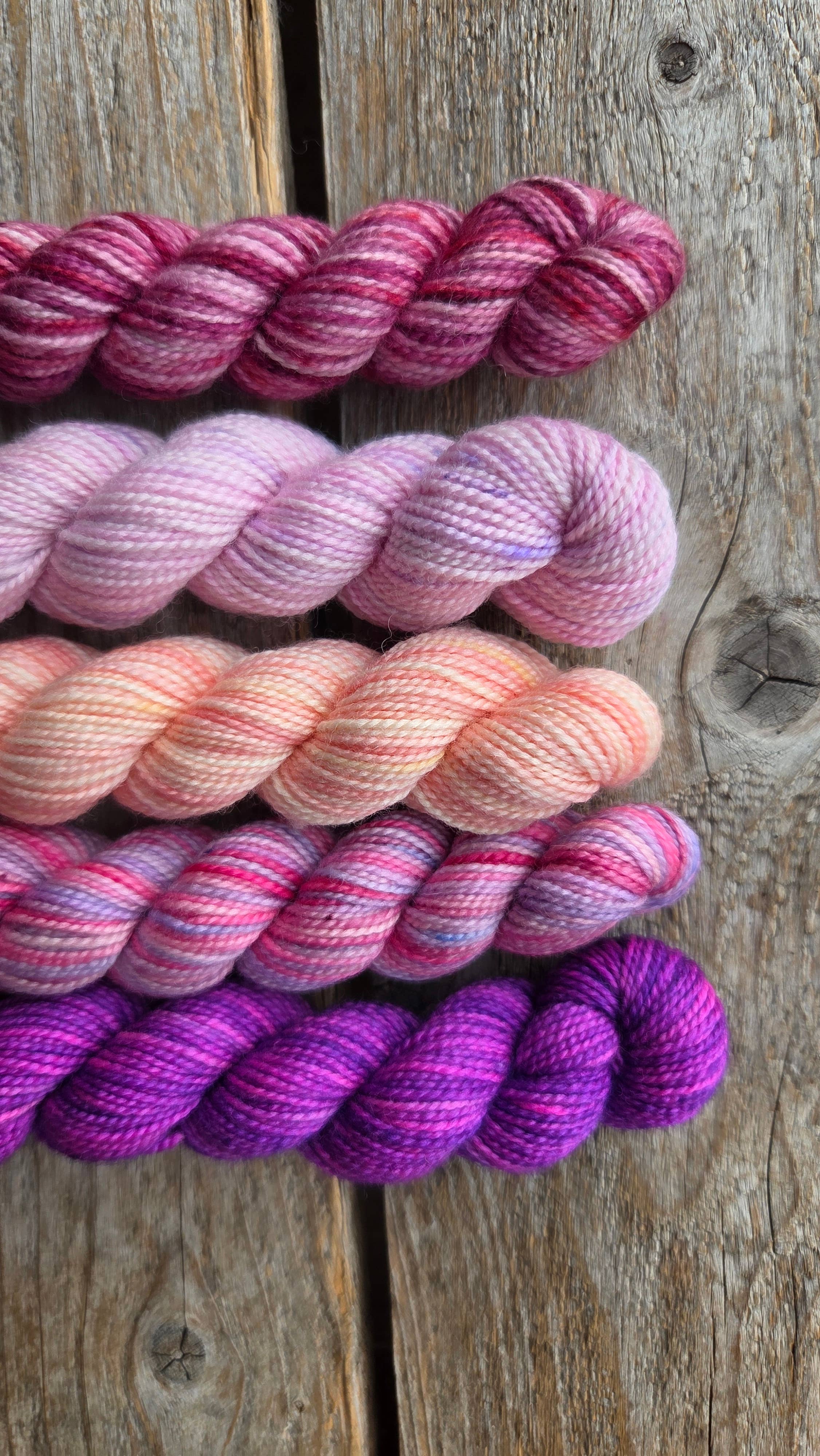 Koigu Wool Designs - Vente Fils à tricoter - Boîtes de Peinture de Fleurs Provinciales (ensembles de mini-écheveaux)5