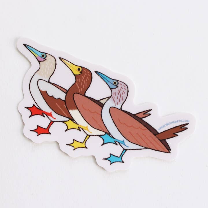 Booby Parade Sticker for wholesale by Microbiome Arts