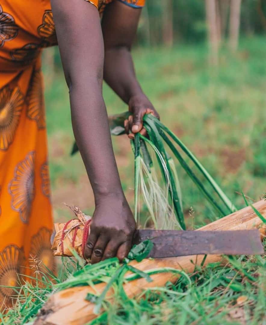 Global Crafts - Wholesale Beach Bag - Handwoven Raffia Tote Basket — Uganda3