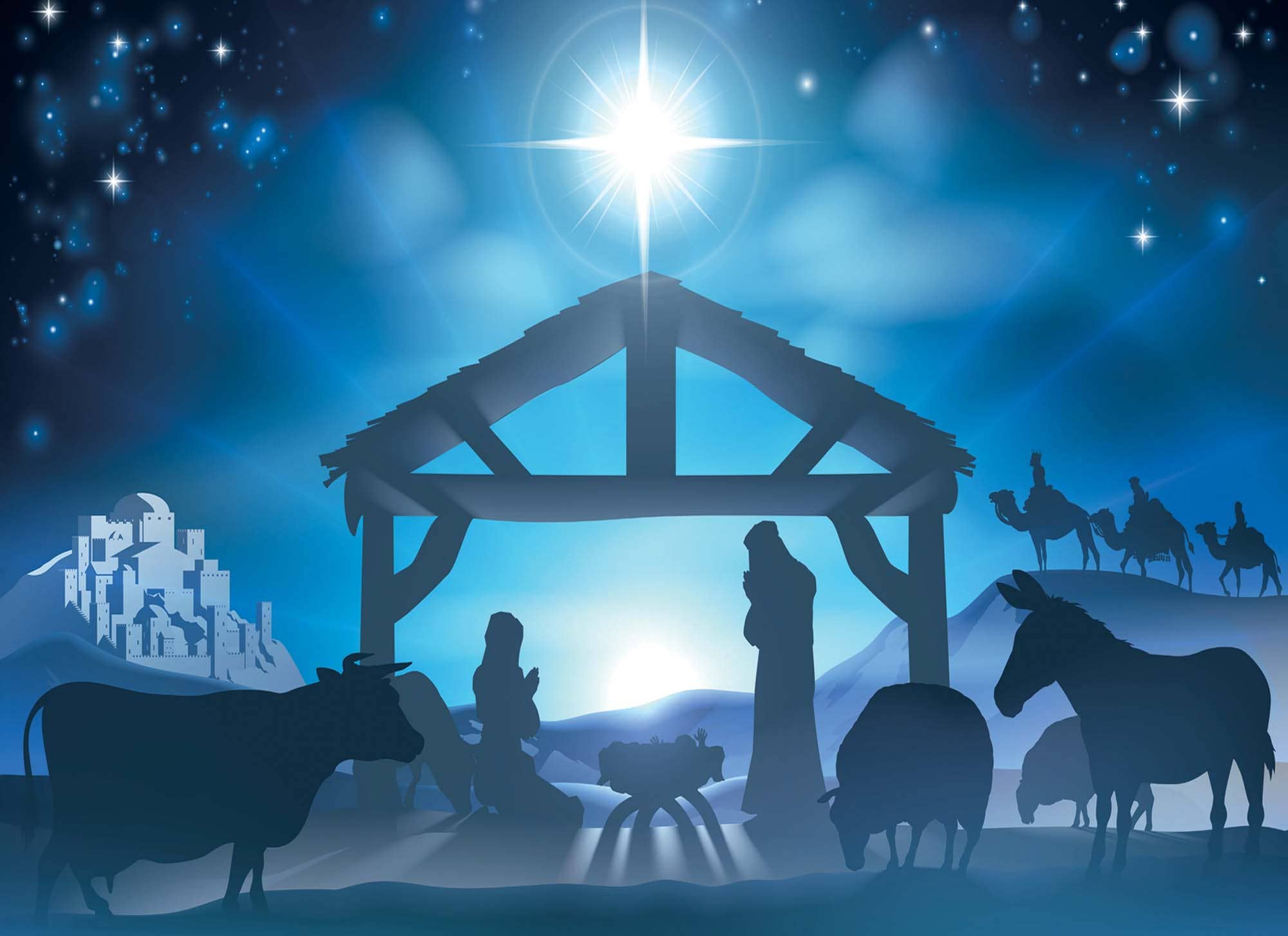 Crown Point Graphics - Wholesale Christmas Card - Religious Boxed Christmas Cards, Nativity, 12 Cards4