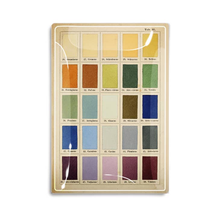 Ben's Garden - Wholesale Decorative Tray - 1890's Painter's Palette Decoupage Glass Tray