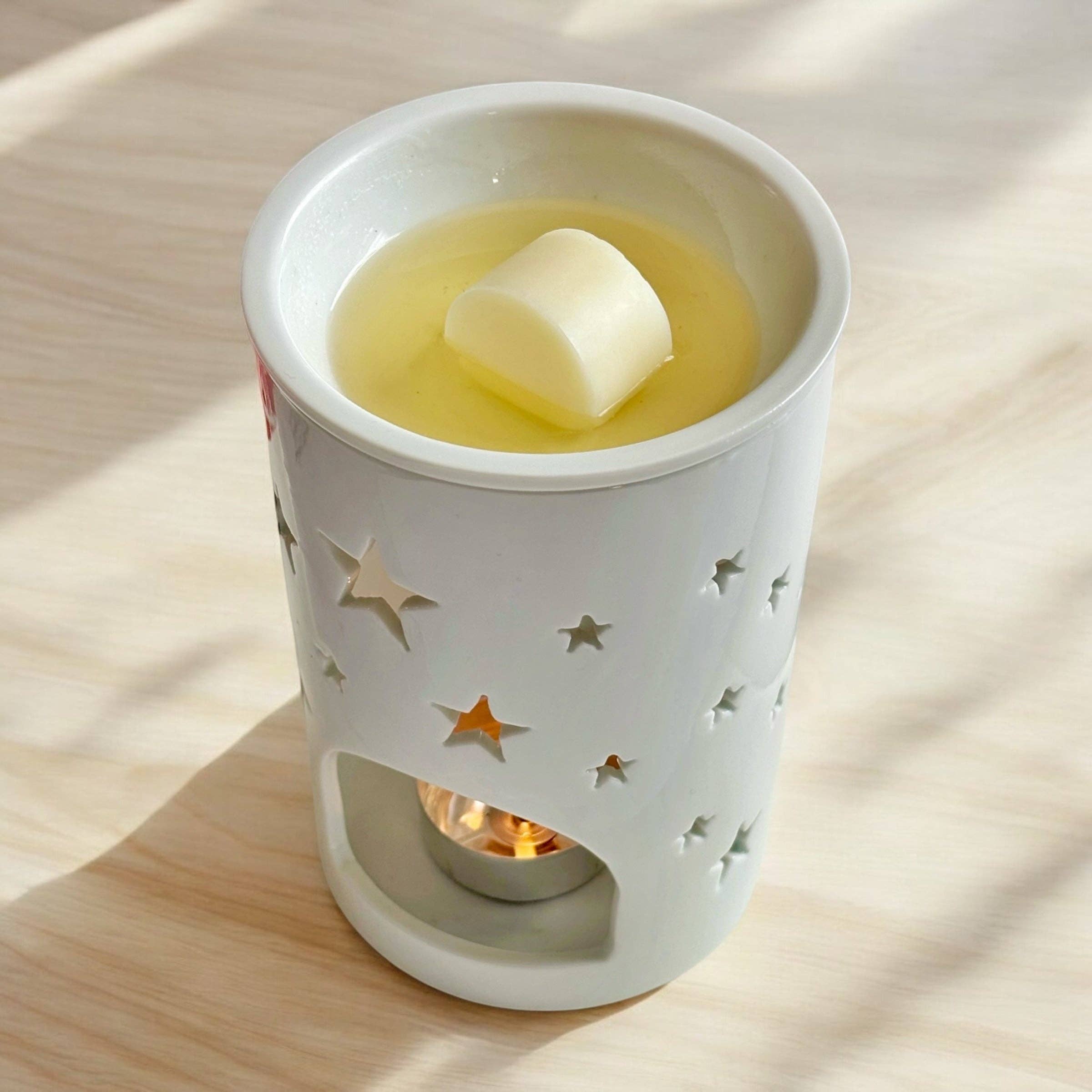 ANDANTE HOME - Wholesale Wax Melt - Andante Melts7