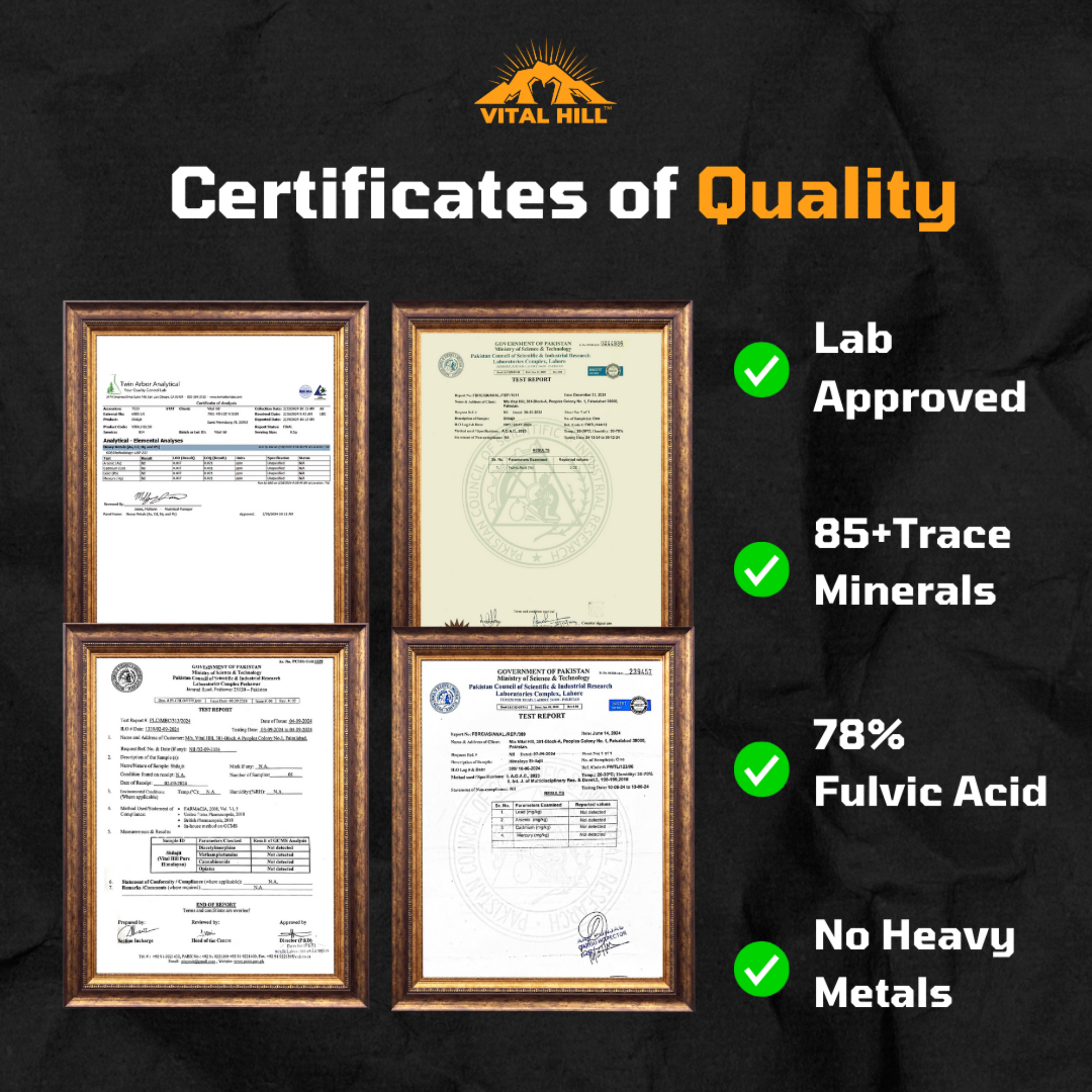 Vital Hill - Wholesale Oral Supplement/Vitamin - Vital Hill Premium Himalayan Shilajit - Energy Supplement5