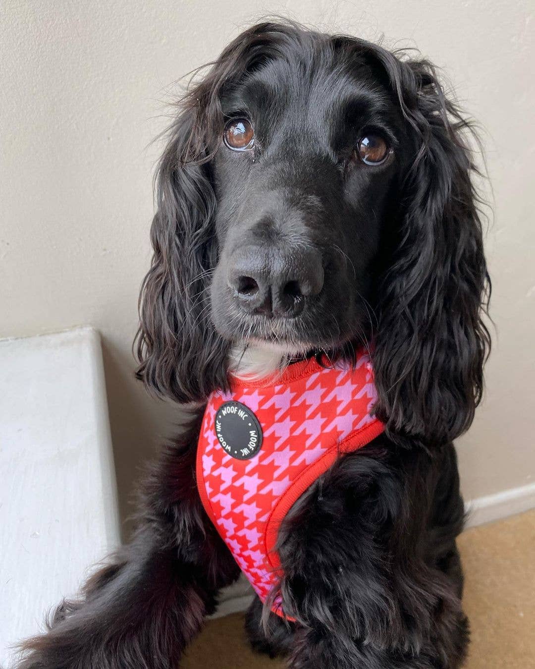 WOOF INC - Wholesale Pet Harness - Dog - Red & Pink Houndstooth Adjustable Dog Harness4