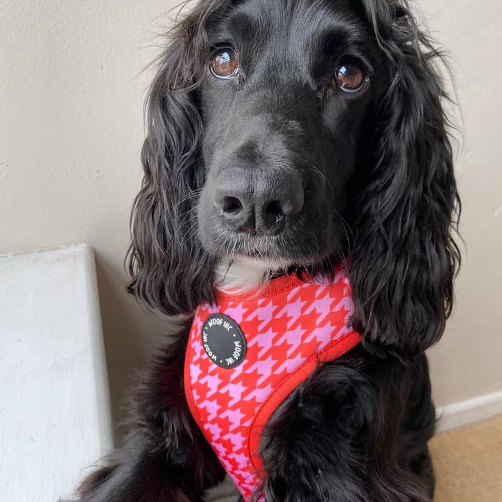 WOOF INC - Wholesale Pet Harness - Dog - Red & Pink Houndstooth Adjustable Dog Harness4