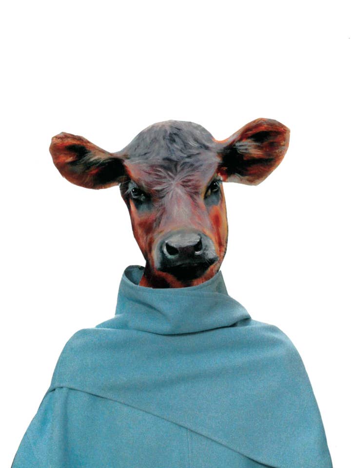 Moochas Gracias for wholesale by Rare Bird