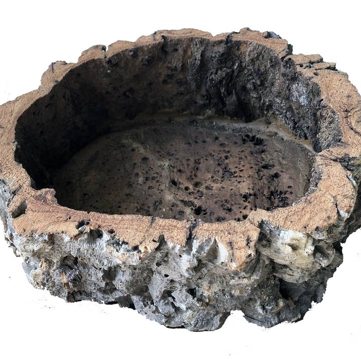 Jelinek Cork Group - Venta al por mayor Macetas - Maceta primitiva de corteza de corcho natural