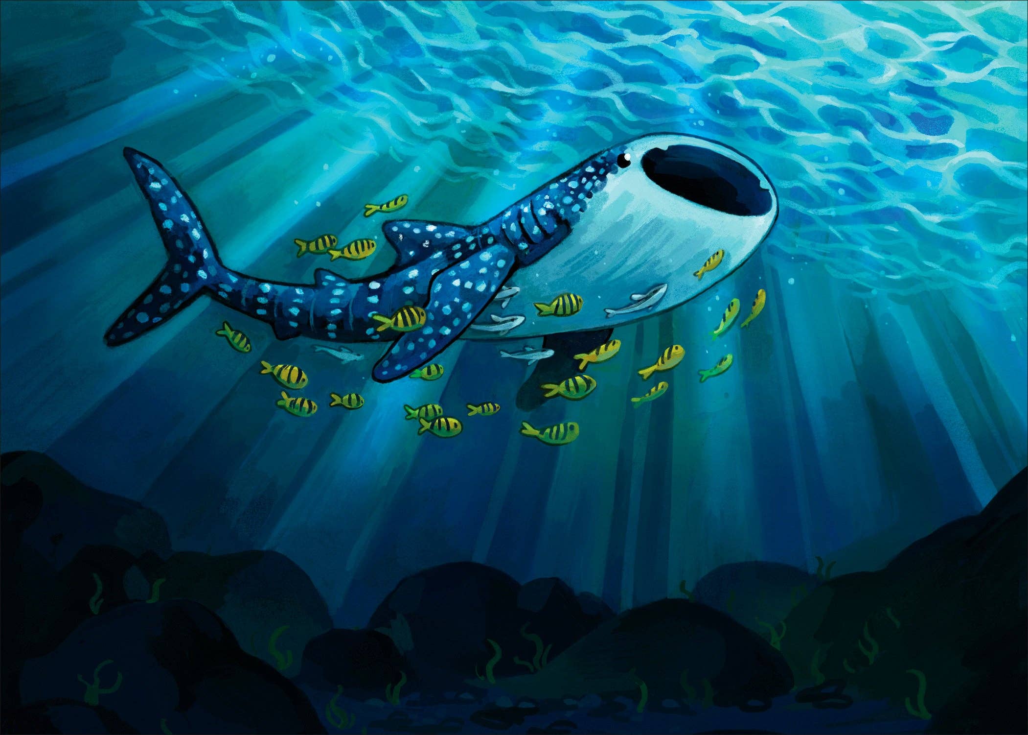 JelArts - Wholesale Art Print - Whale Shark - Print (two sizes)0