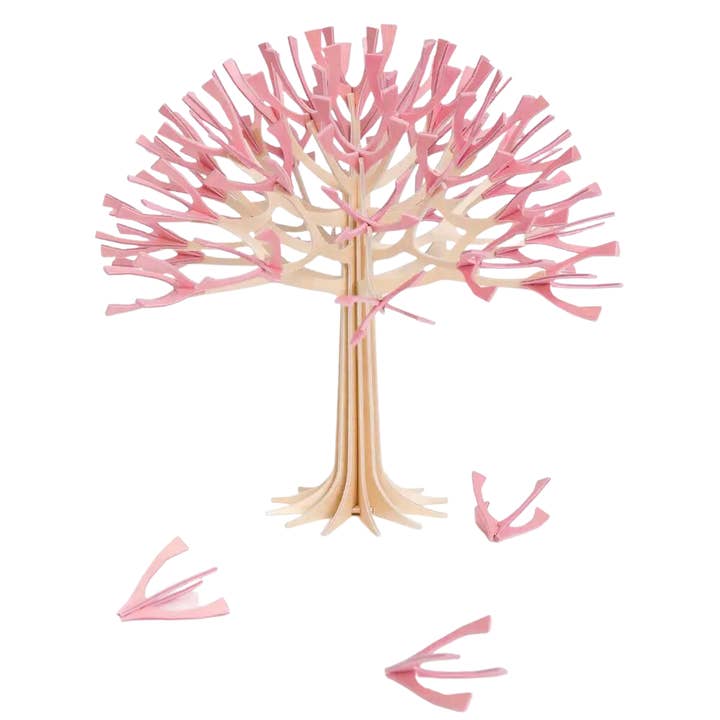 Lovi Cherry Tree for wholesale by Rohi Coffee