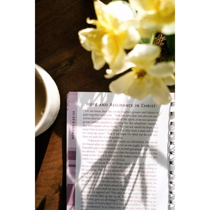 Barbour Publishing, Inc. - Wholesale Religion Book - Romans: An All-in-One Study on Salvation and New Life5