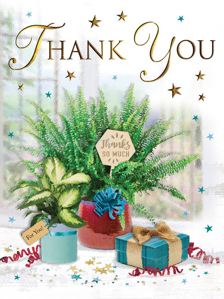 Biglietto di ringraziamento, Grazie, Pianta in vaso per la vendita all'ingrosso da parte di Piccadilly Greetings