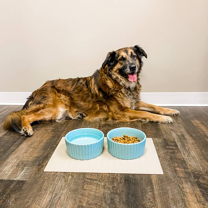Waggo - Wholesale Pet Bowl - Cat/Dog - Ripple Dog Bowl