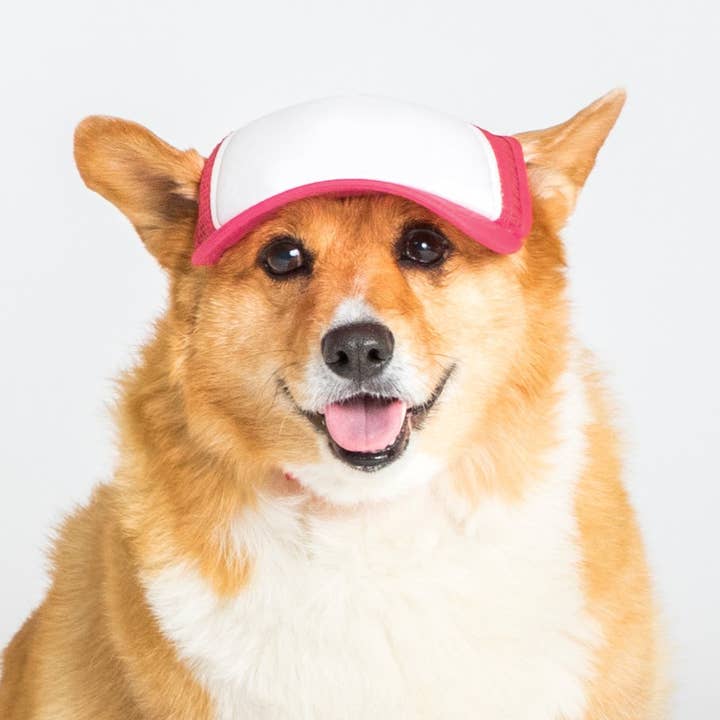 PupLid - Wholesale Pet Hat - Dog - Blank Foam | Trucker Hat for Dogs