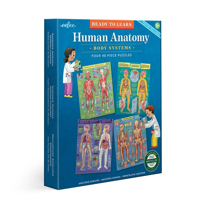 Human Anatomy Ready to Learn 48 Piece 4 Puzzle Set for wholesale by eeBoo