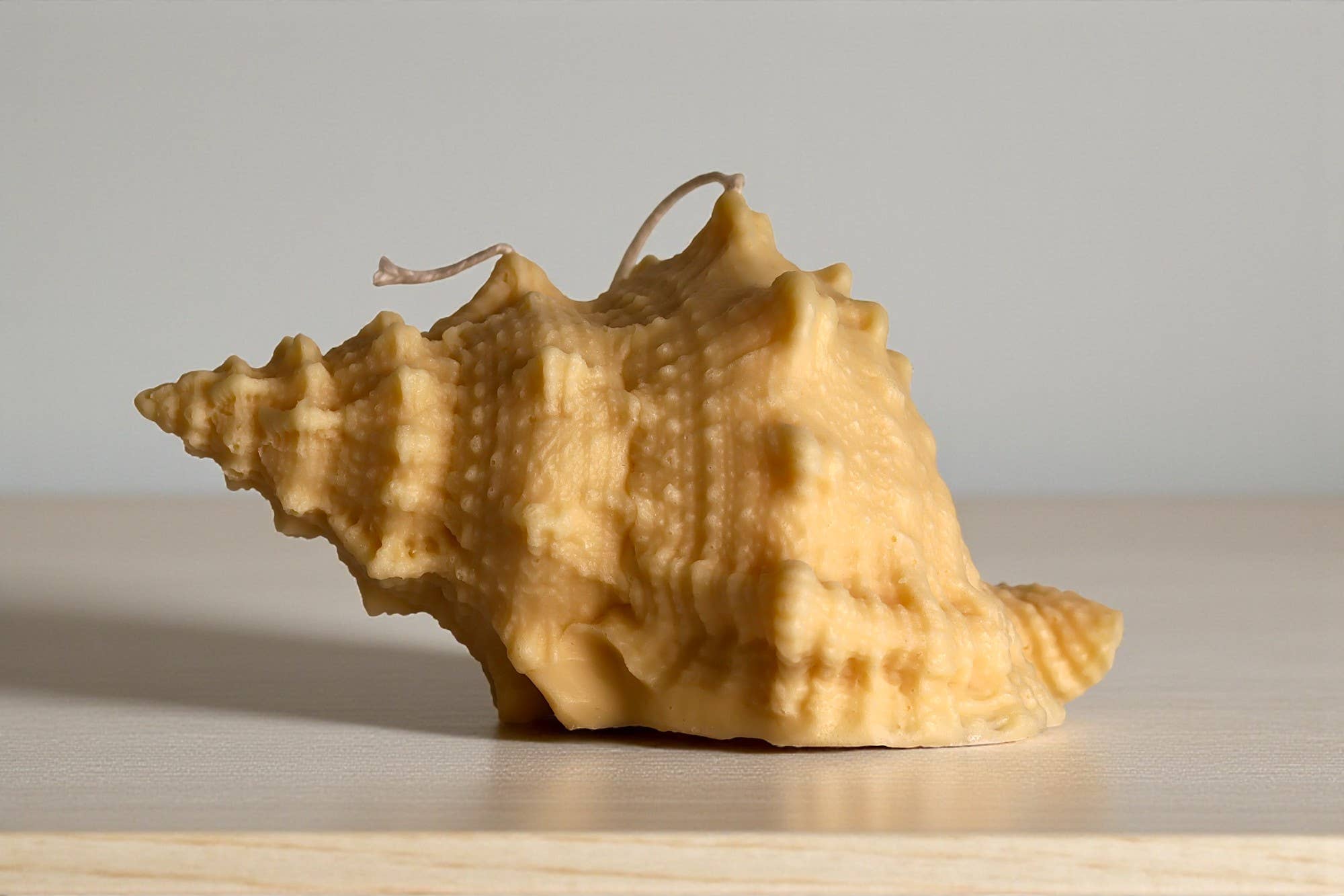 Agaboo Candle – Großhandel Geschenkkerze – Riesige natürliche Muschelkerze 4x7x5in5