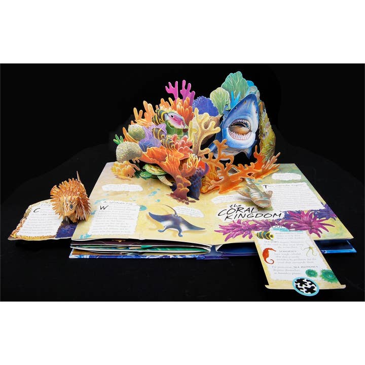 Simon & Schuster - Wholesale Book - Kids - Wild Oceans by Lucio Santoro