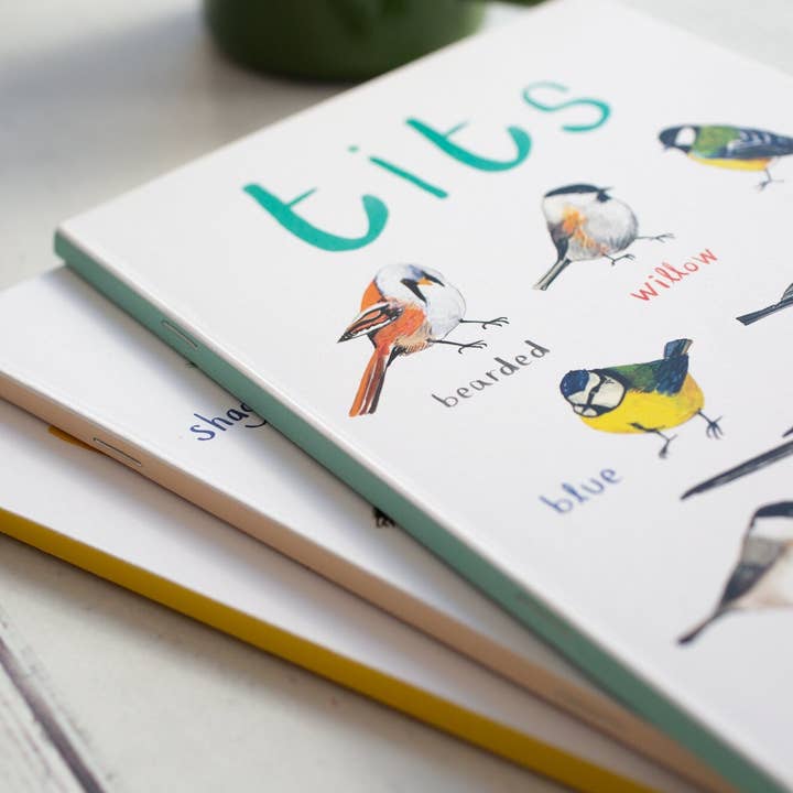 Sarah Edmonds Illustration – Caderno por atacado – Caderno de Pássaros Reciclado Titos A52