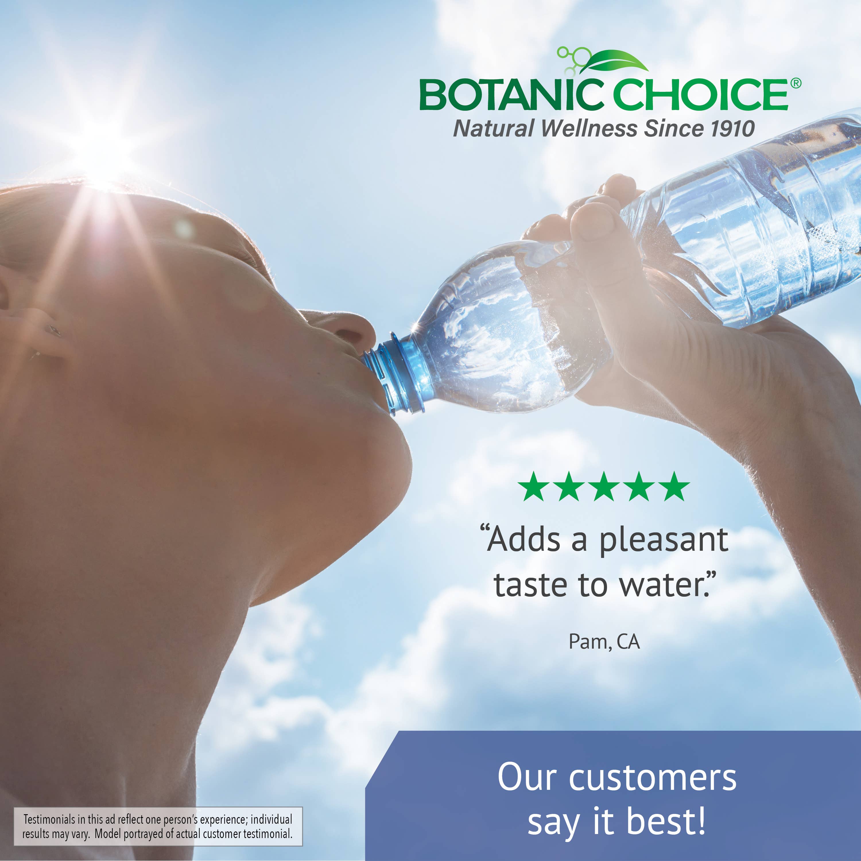 Botanic Choice - Wholesale Essential Oil - Botanic Choice Blueberry Leaf Liquid Extract - 1 oz6