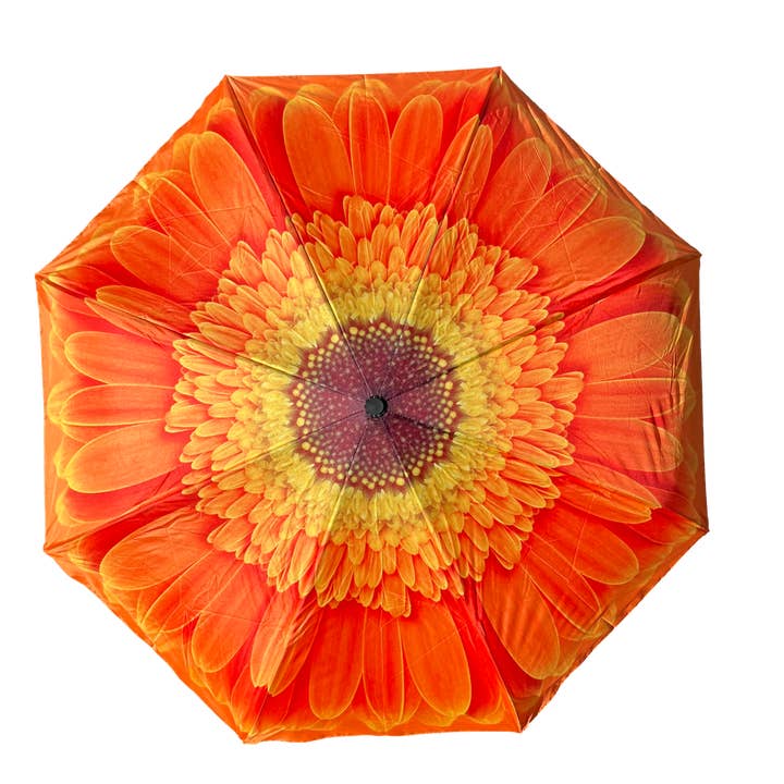 Everyday Inside Out Orange Daisy Stick for wholesale by Soake