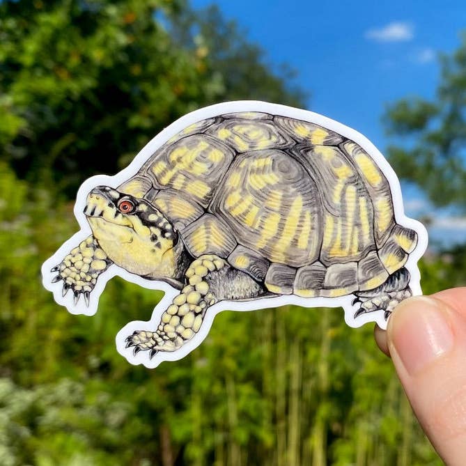 Box Turtle Weatherproof Vinyl Sticker for wholesale by Allison Stoiser Art