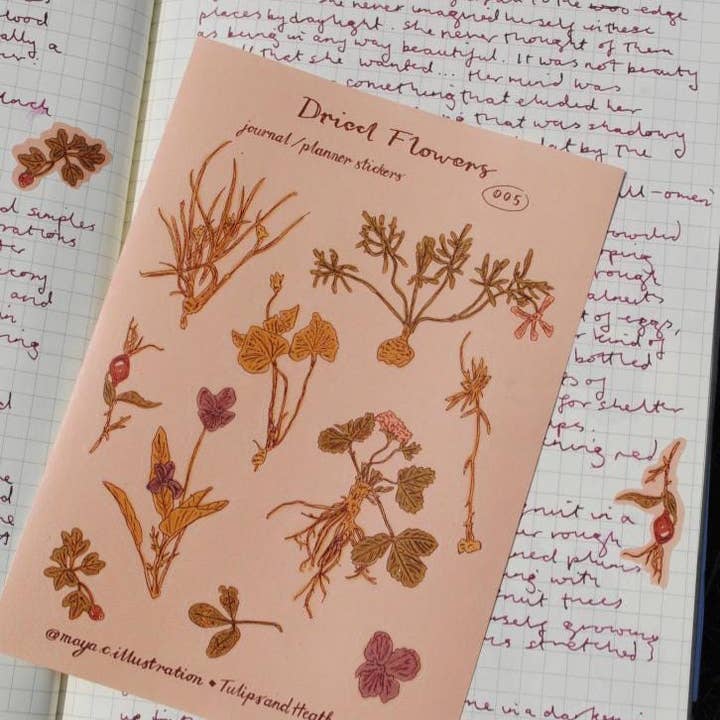 Tulips and Heather – wholesale Sticker – Sticker Sheet "Dried Flowers" for journals and planners4