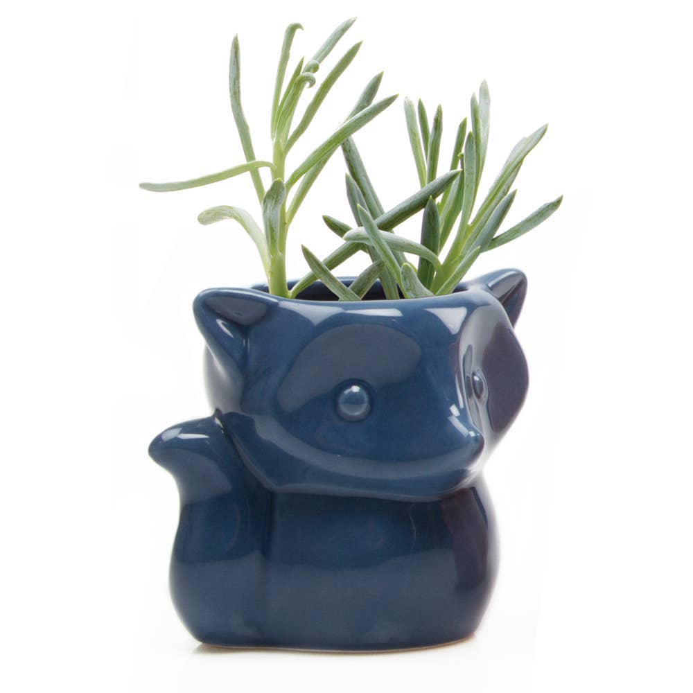 Chive UK - Wholesale Plant Pot - Fox - 3.5" Glazed Modern Ceramic Planter3