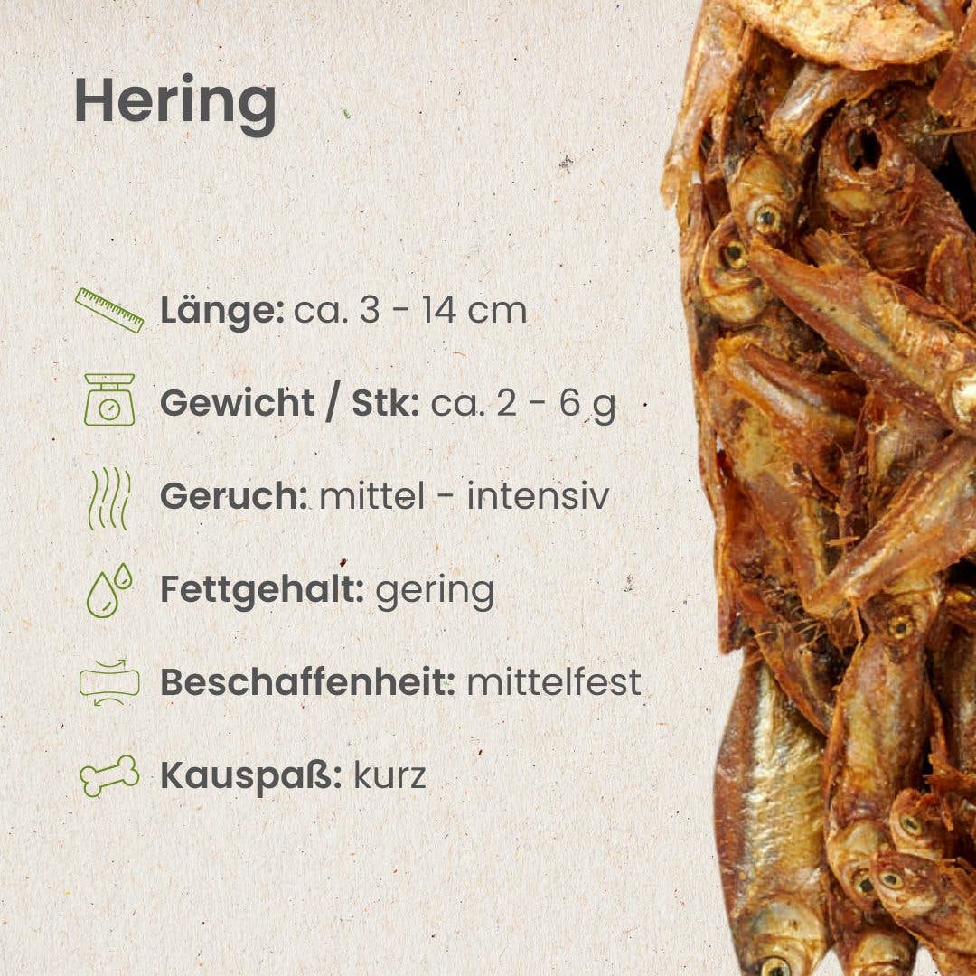 Kauartikel.com GmbH - Wholesale Pet Bone/Rawhide - Dog - herring3