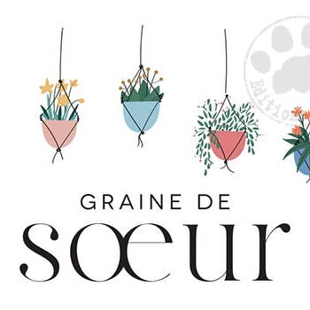 Editions de Mai - Wholesale Plant Seeds - Ga14 — planting card (seeded paper)