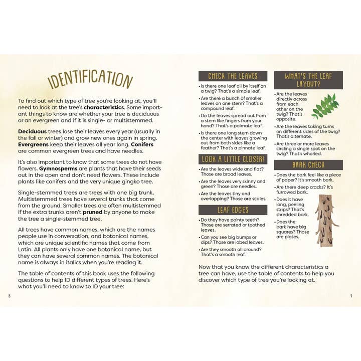 Gibbs Smith - Wholesale Nature & Outdoors - Kid’s Guide to Backyard Trees1