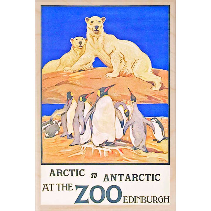 THE WOODEN POSTCARD COMPANY – wholesale Postcard – SCOTLAND EDINBURGH ZOO sustainable wood postcard UK