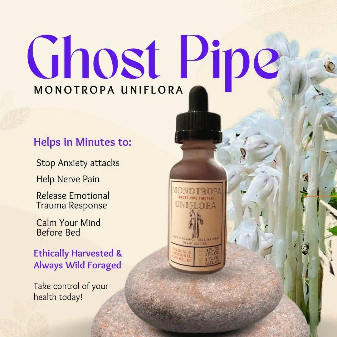 Back2Nature Herbals – wholesale Tincture – Organic Ghost Pipe (Monotropa Uniflora)
