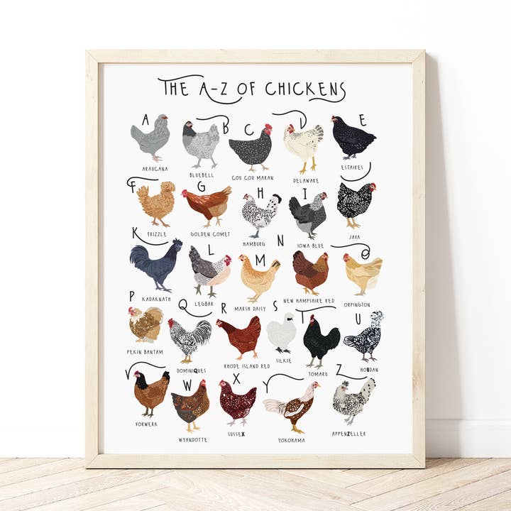 The A-Z of Chickens Print for wholesale by Bea Baranowska Illustration