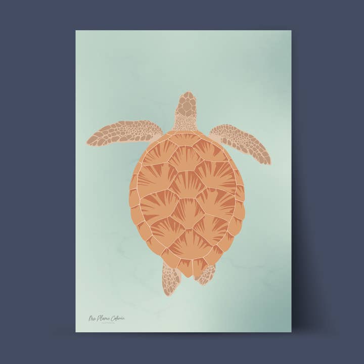 Havssköldpadda illustration för wholesale av Ma Plume Colorée
