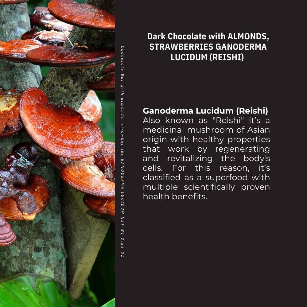 Kaffeto Gourmet USA - Wholesale Chocolate Bar - dark chocolate bar with almond, strawberries and ganoderma2