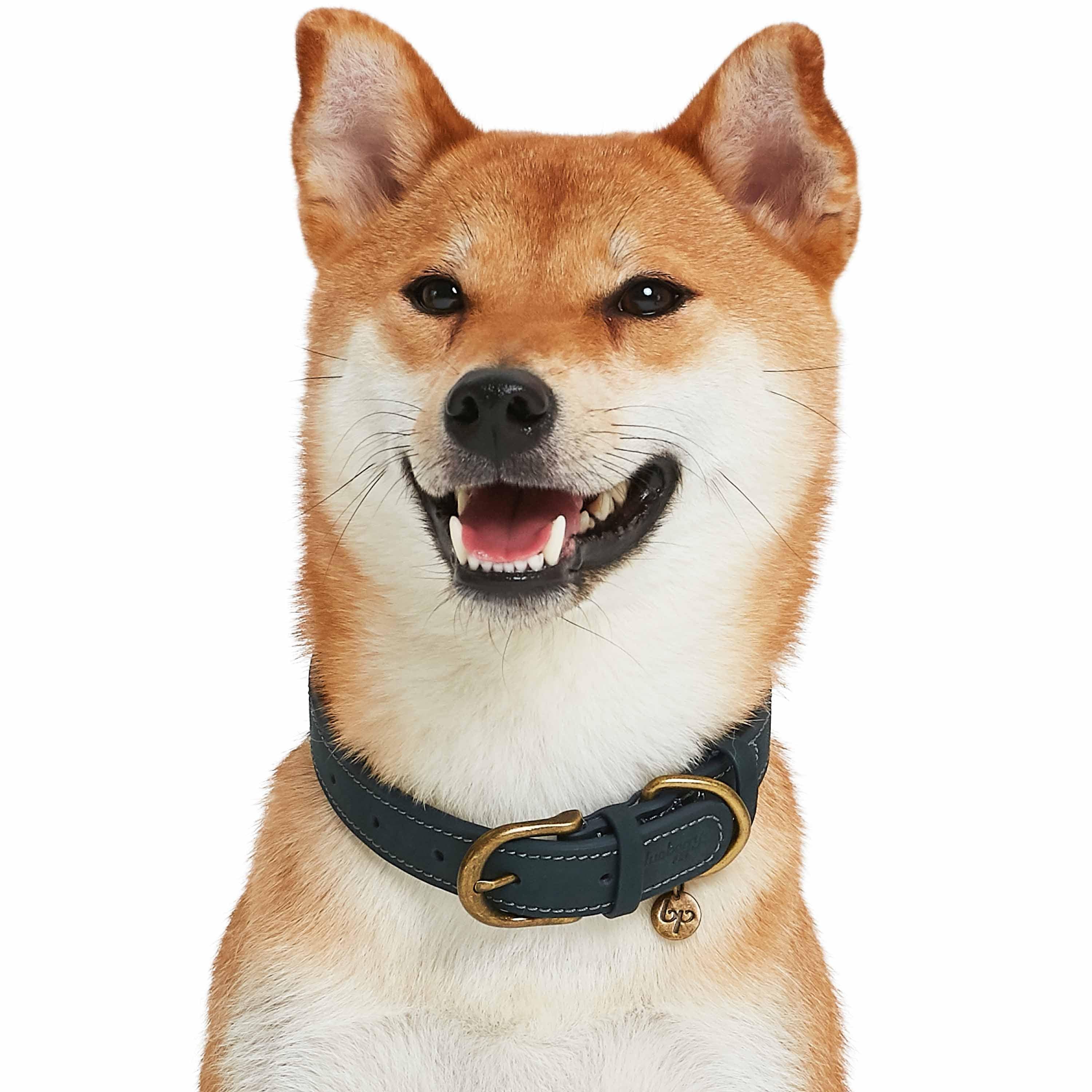 Navy Blue Full Grain Leather Dog Collar for wholesale on Faire6