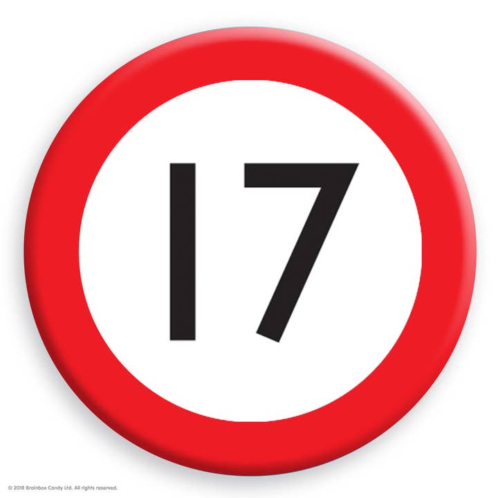 Brainbox Candy - Wholesale Lapel pin/button - Funny Metal Pin - 17th Warning Birthday Badge