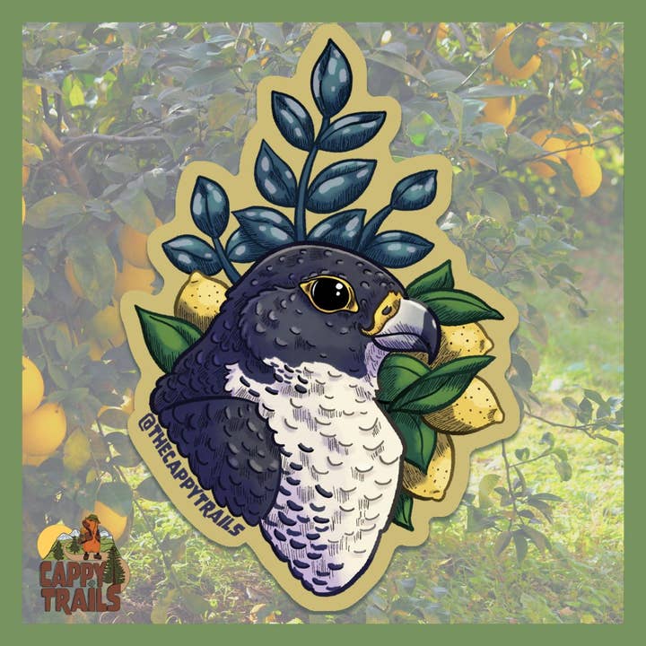 Peregrine Falcon Sticker for wholesale by Cappy Trails