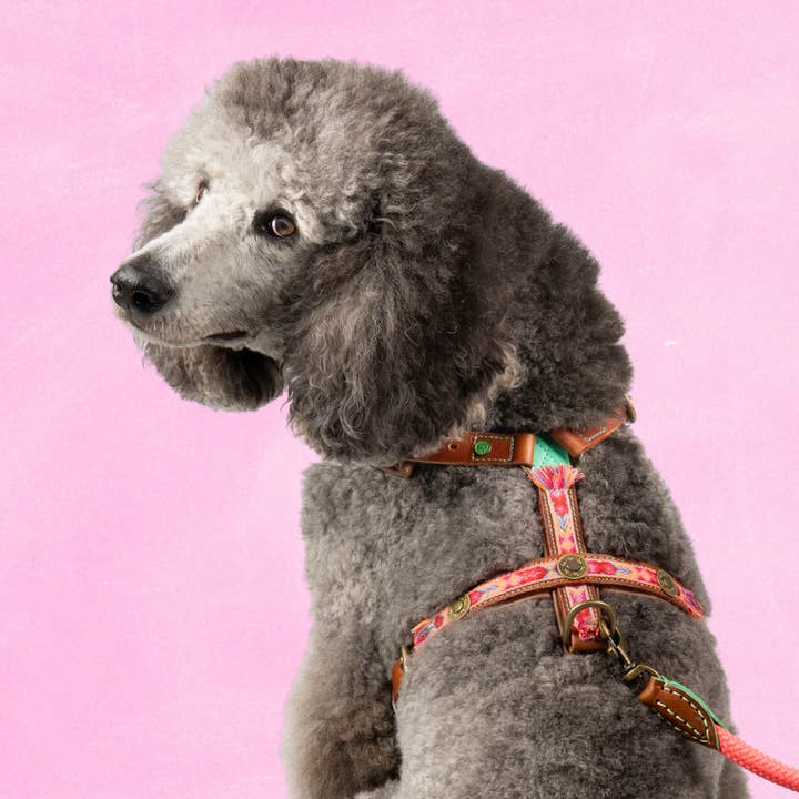 Boho Rosa Tuigje XL(73,5-92 cm) voor wholesale door Dog with a Mission