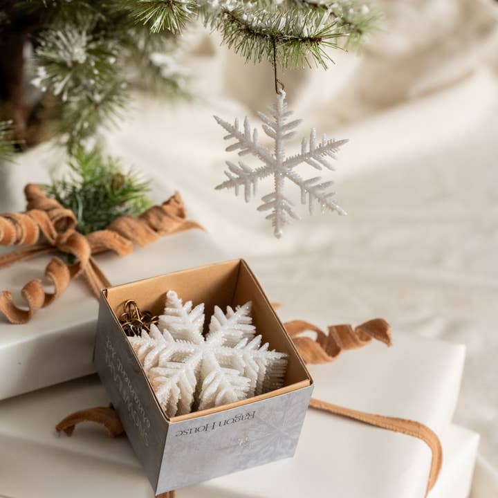 ENSEMBLE/ 24 FLOCONS DE NEIGE À SIX POINTS pour la vente par Ragon House