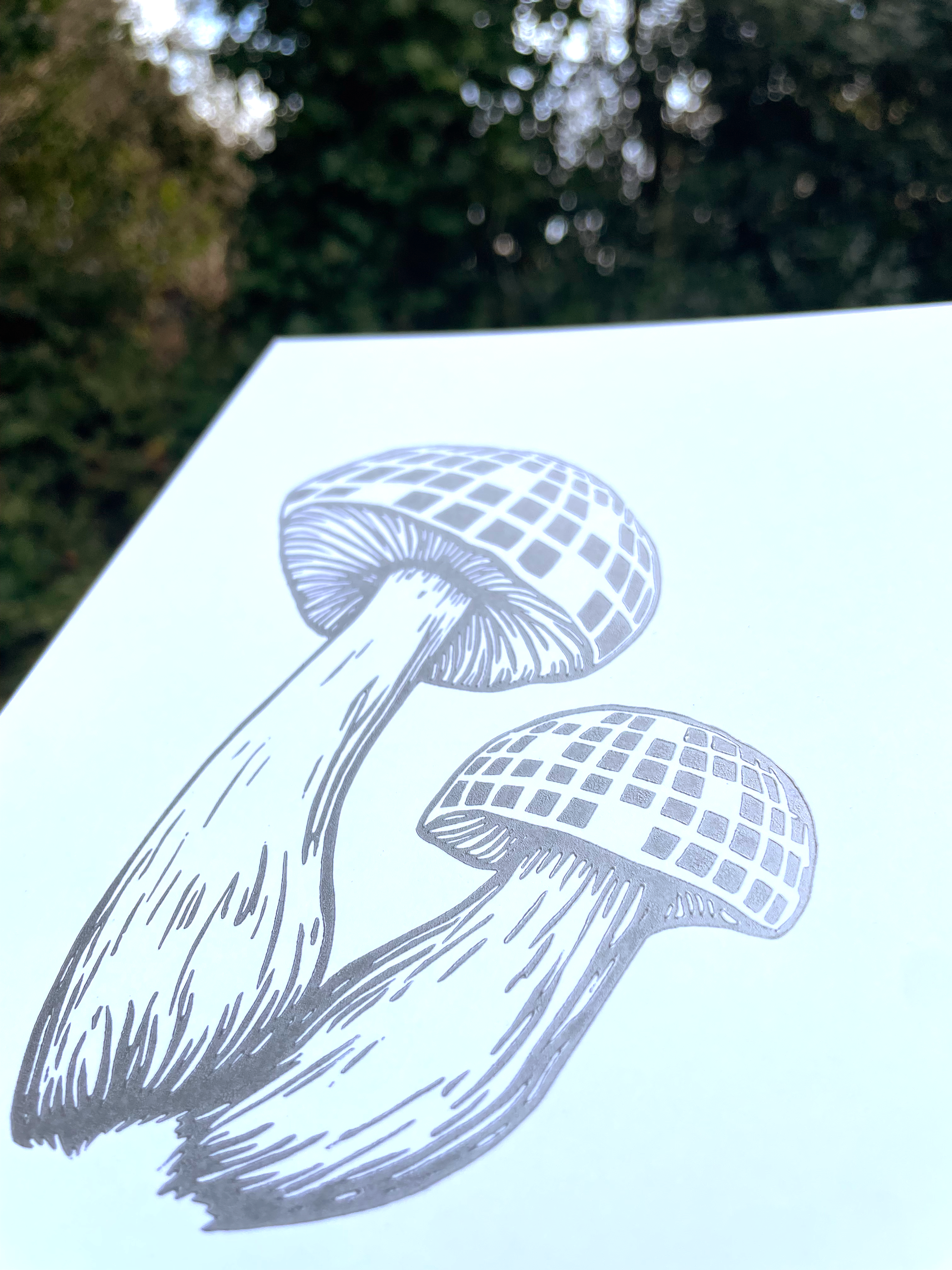 Augury Press – wholesale Konsttryck – Disco Mushroom Linocut-tryck5