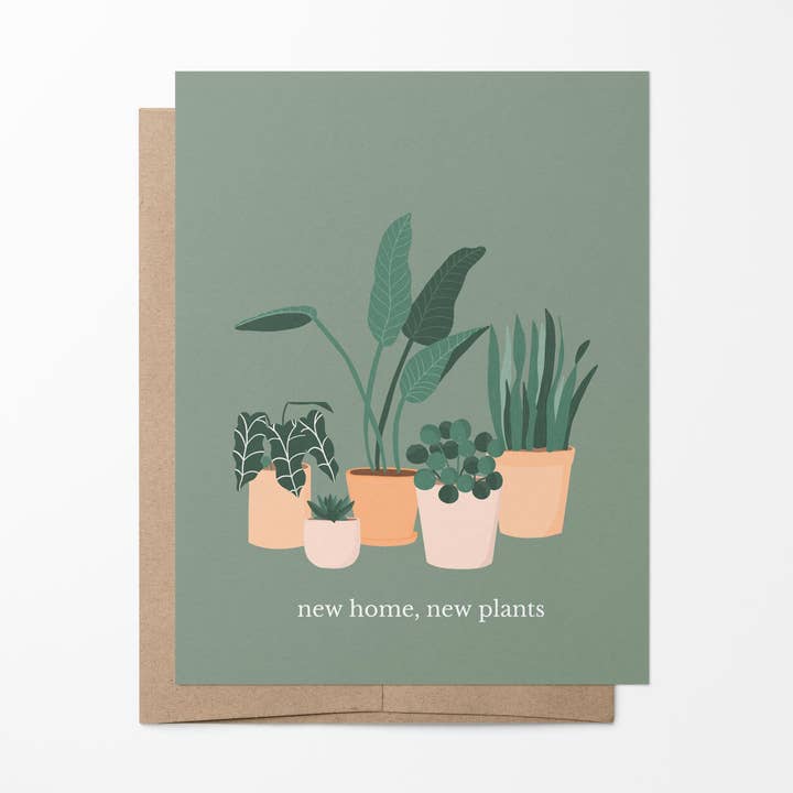 Nyt hjem, nye planter for engroshandel hos ritual & fern