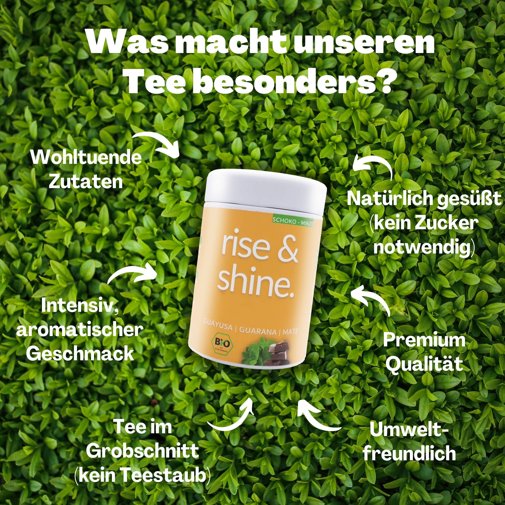 DrinkTea - Wholesale Health/Detox Tea - Rise & Shine organic morning tea (loose) 75g tin3