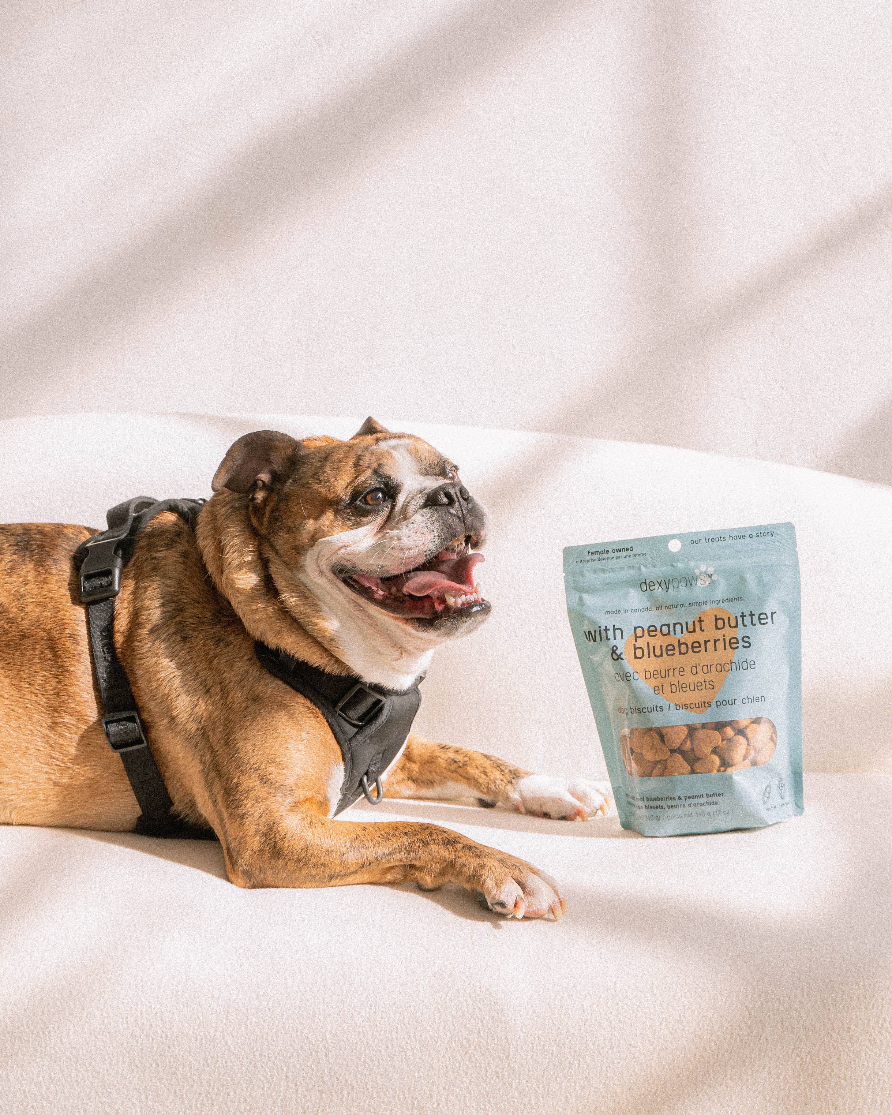 dexypaws - Vendita all'ingrosso Snack - Cani - Dolcetti per cani al burro di arachidi e mirtilli6