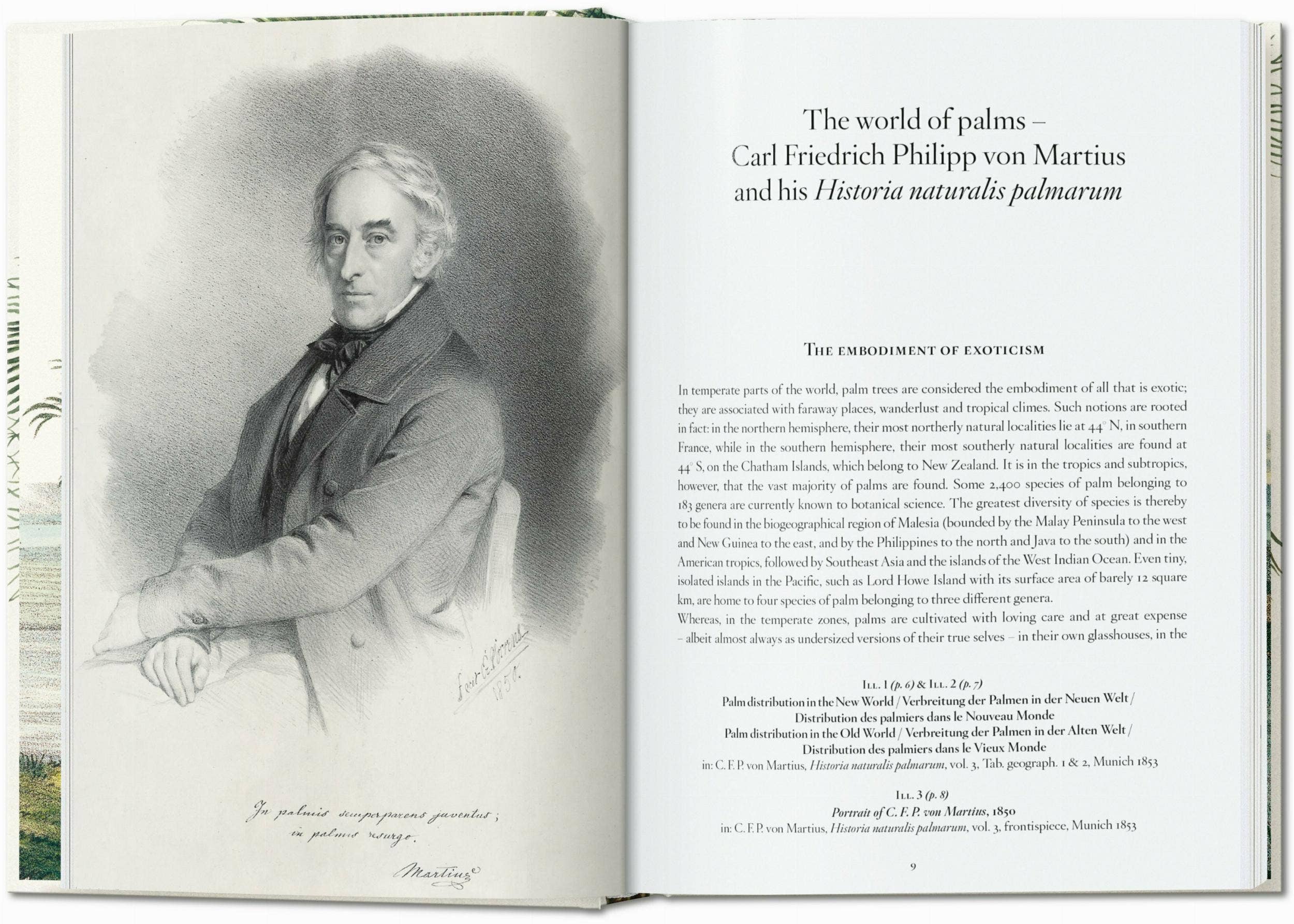 TASCHEN America - Wholesale Nature & Outdoors - Martius. The Book of Palms. 45th Ed. (German, French, English)2