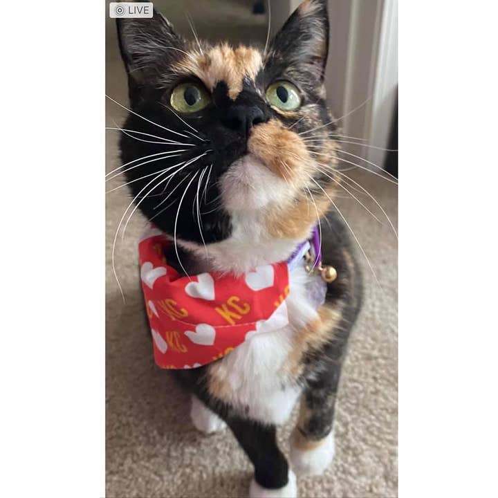 PawsAbilities - Wholesale Pet Bandana - Dog - KC Heart Dog Bandana