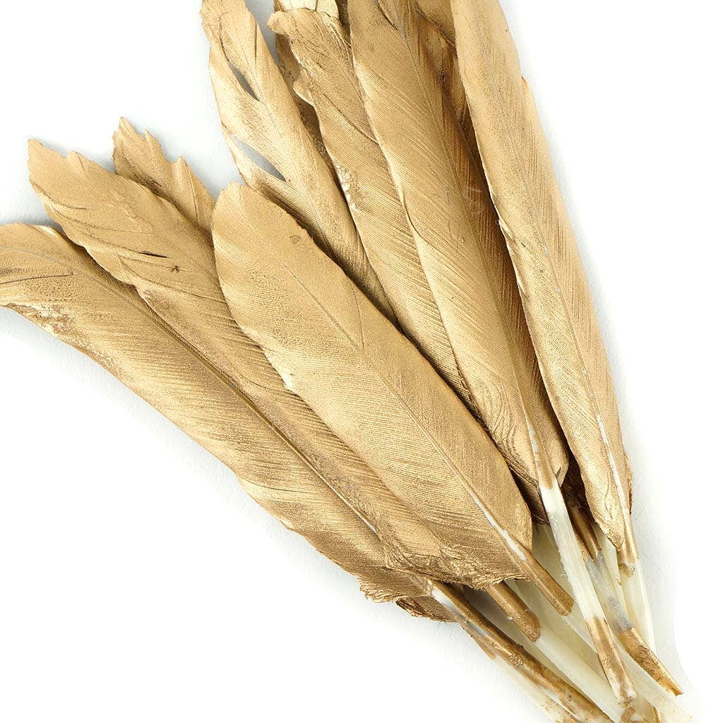 Zucker Feather Products - Wholesale Craft Supplies - Gilded Duck Cosse Feathers Gold4