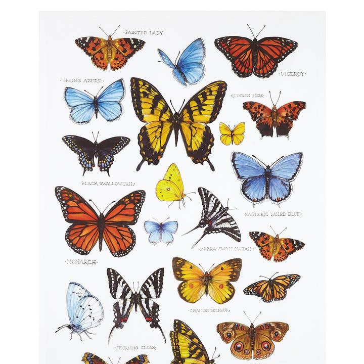 Field Guide Butterflies Printed Kitchen Towel - Sally Eckman Roberts for wholesale by Peking Handicraft